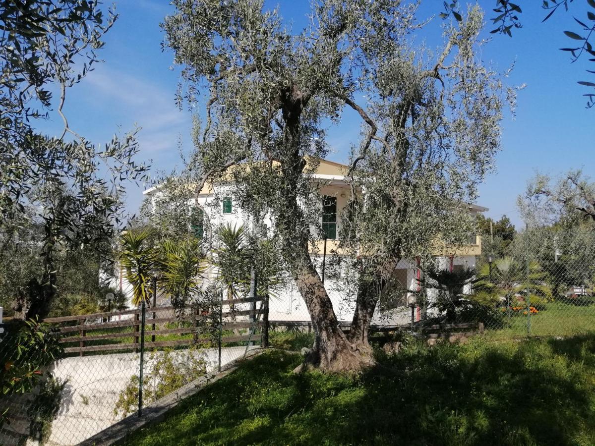 Villa Elisa Vieste Exterior foto